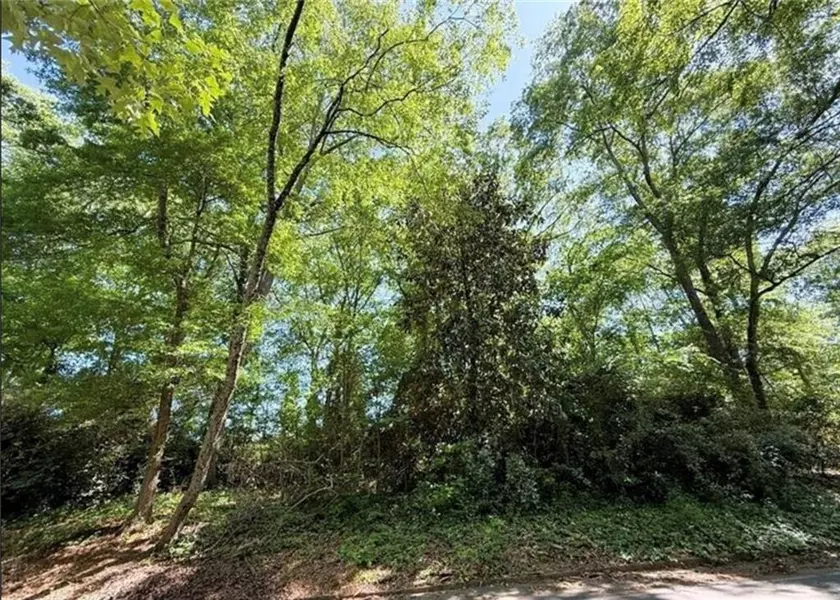 0 Oak DR, Elberton, GA 30635