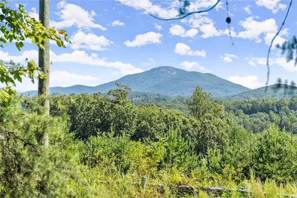 Cleveland, GA 30528,00 Helton RD