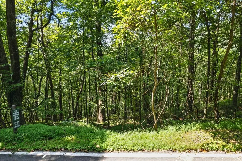 Big Canoe, GA 30143,1207 Deer Run RDG