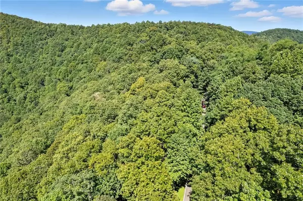 Big Canoe, GA 30143,1207 Deer Run RDG
