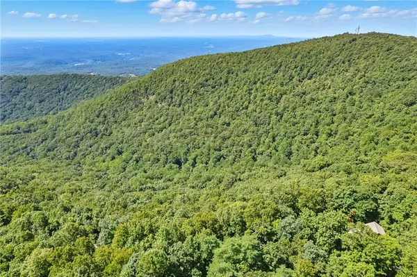 Big Canoe, GA 30143,1207 Deer Run RDG