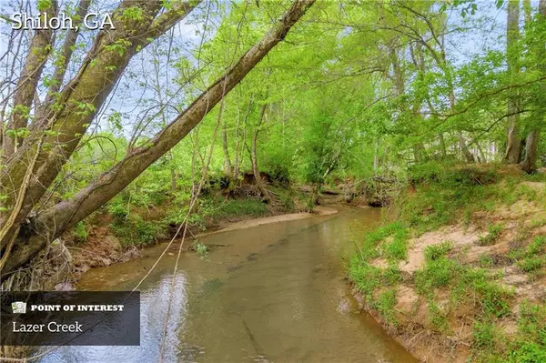 Shiloh, GA 31826,2450 Chestnut Grove RD