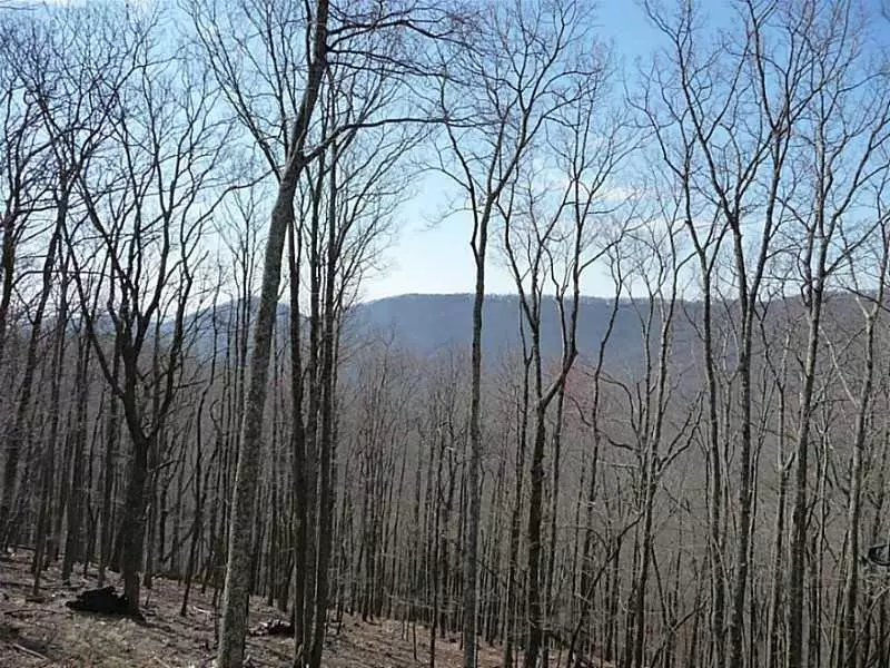 101 Deer RUN, Big Canoe, GA 30143