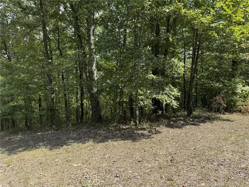 1267 Jewel CT NE, Ranger, GA 30734