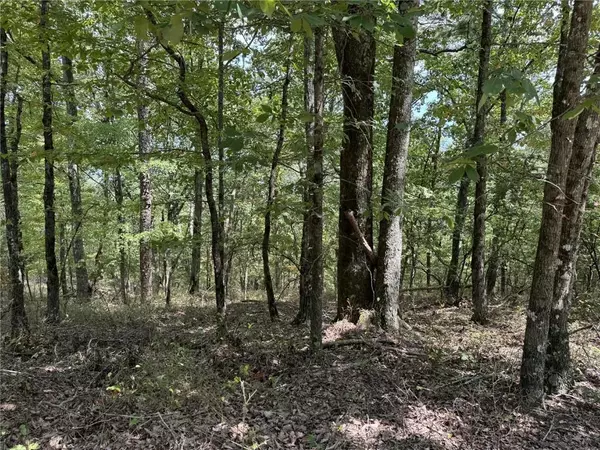 Ranger, GA 30734,1267 Jewel CT NE