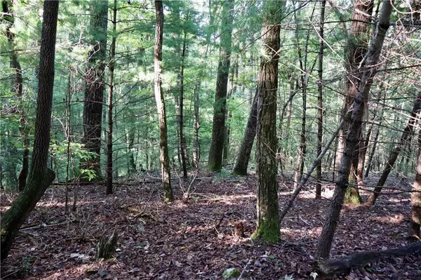 Ellijay, GA 30540,0 Saw Blade LN