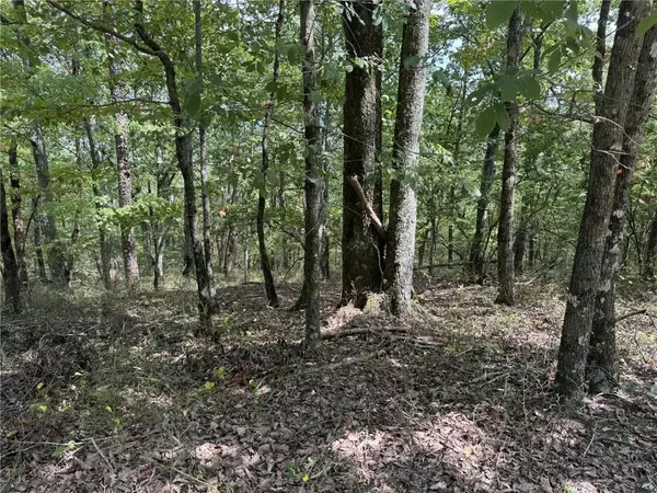 Ranger, GA 30734,1417 Foxhound TRL NE