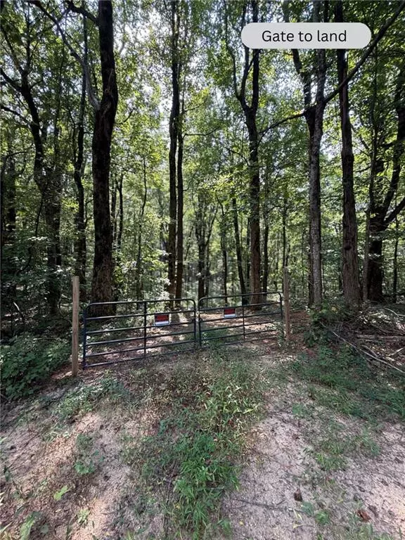 Ellijay, GA 30536,6180 Burnt Mountain RD