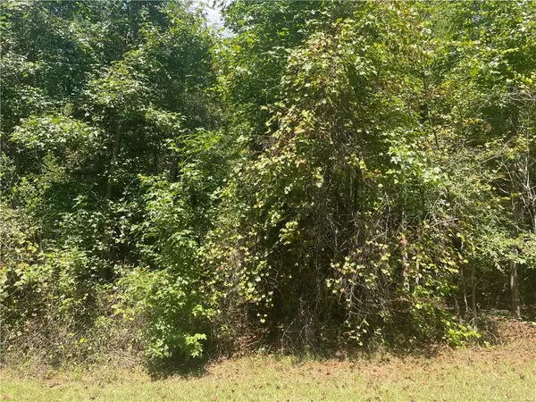 Monticello, GA 31064,321 Clearview DR W