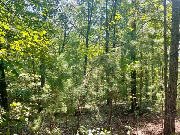 Monticello, GA 31064,200 Clearview DR W