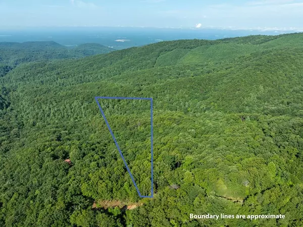 Chatsworth, GA 30705,LOT 9 Brushy Top DR