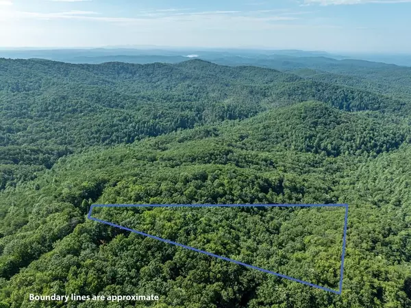 Chatsworth, GA 30705,LOT 9 Brushy Top DR