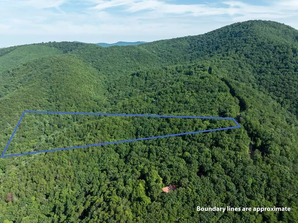 Chatsworth, GA 30705,LOT 9 Brushy Top DR