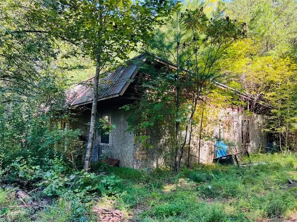 Blue Ridge, GA 30513,220 Maxwell Mountain RD