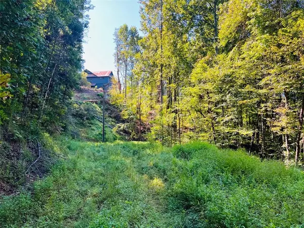 Blue Ridge, GA 30513,220 Maxwell Mountain RD