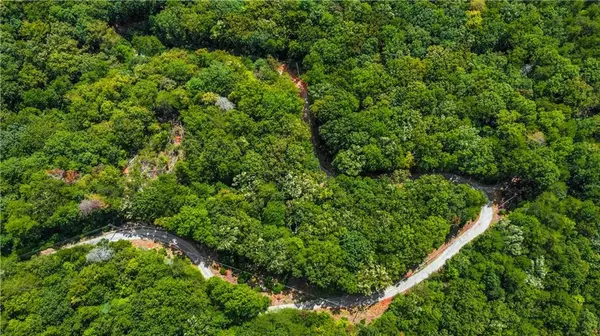 Ellijay, GA 30536,4.69 Rockwater RD