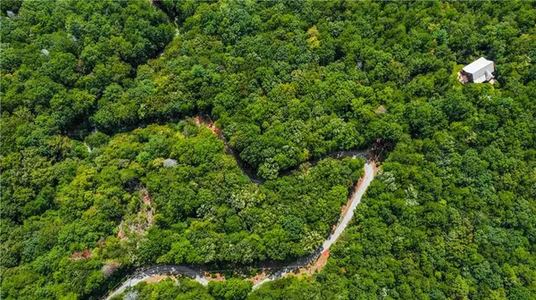 Ellijay, GA 30536,4.69 Rockwater RD