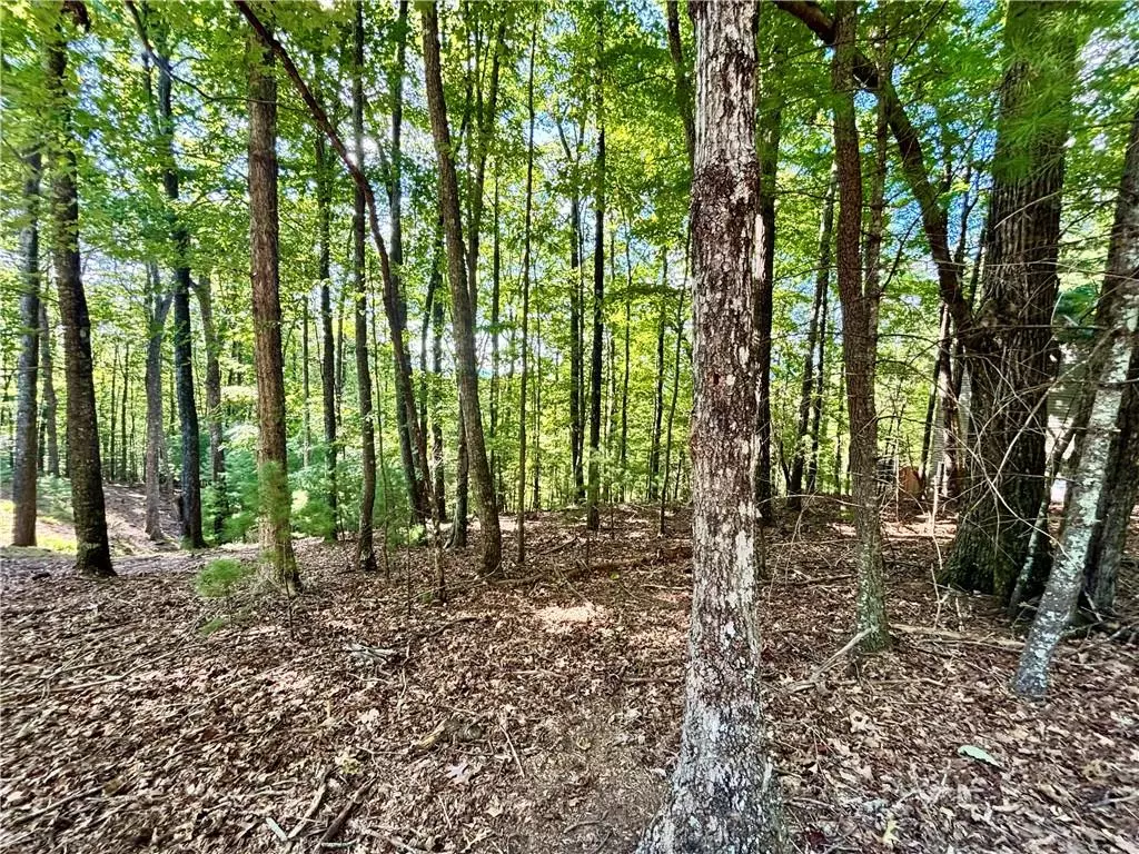 Ellijay, GA 30540,0.55 A Pine Ridge Road