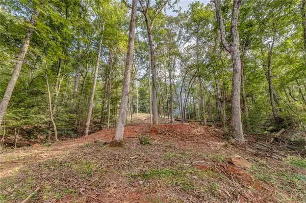 Demorest, GA 30535,474 White Pine CIR