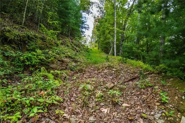 Mineral Bluff, GA 30559,0 Dusty Danno TRL