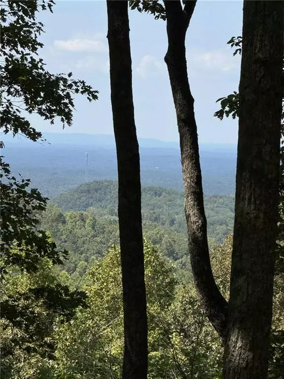 Ranger, GA 30734,1005 Mayfield LN NE