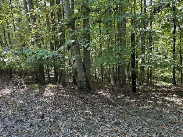Ranger, GA 30734,1005 Mayfield LN NE