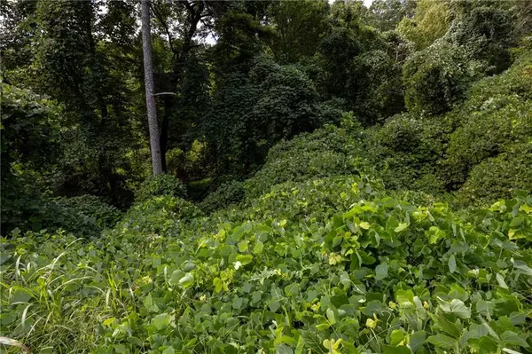 Gainesville, GA 30507,1832 TULIP DR