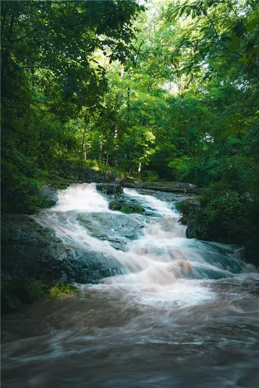 Atlanta, GA 30307,393 The Falls CT NE