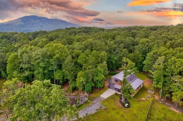 174 Bear Hollow DR, Mineral Bluff, GA 30559