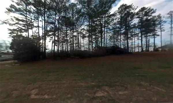 Hampton, GA 30228,0 Panhandle RD