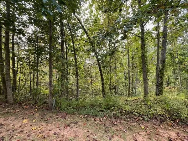 Marble Hill, GA 30148,916 Cove Lake DR