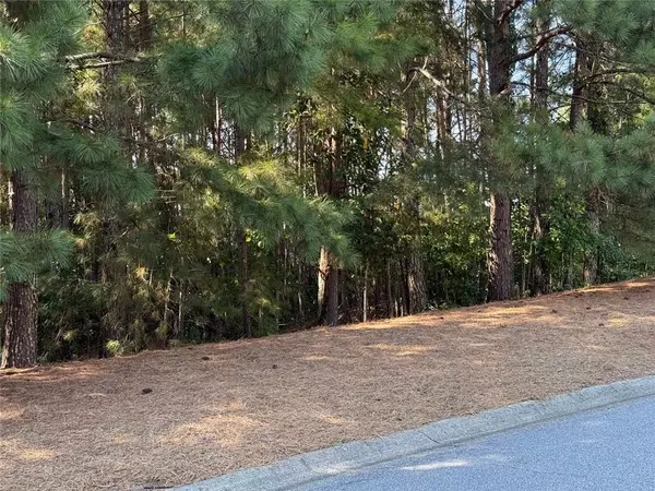 Suwanee, GA 30024,310 Burgess Mill TRL