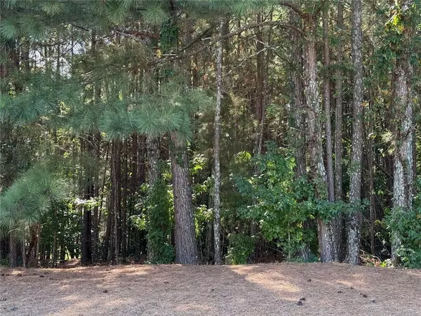Suwanee, GA 30024,310 Burgess Mill TRL