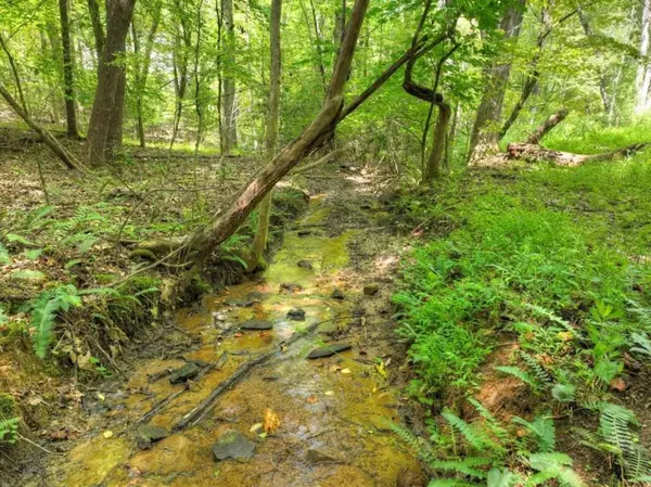 Blairsville, GA 30512,77 Alpine WAY