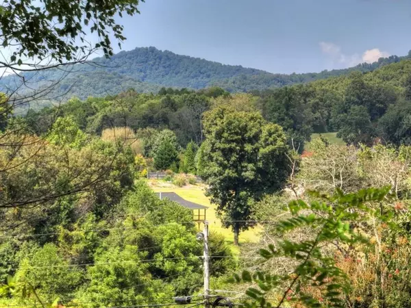 Blairsville, GA 30512,77 Alpine WAY