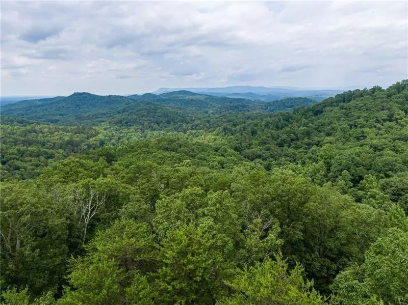 1405 Foxhound TRL NE, Ranger, GA 30734