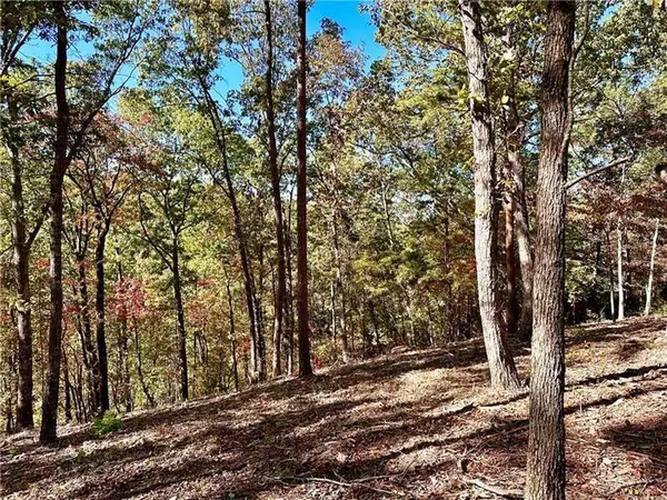 Ranger, GA 30734,1405 Foxhound TRL NE