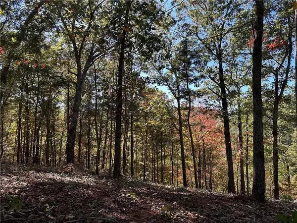 Ranger, GA 30734,1405 Foxhound TRL NE