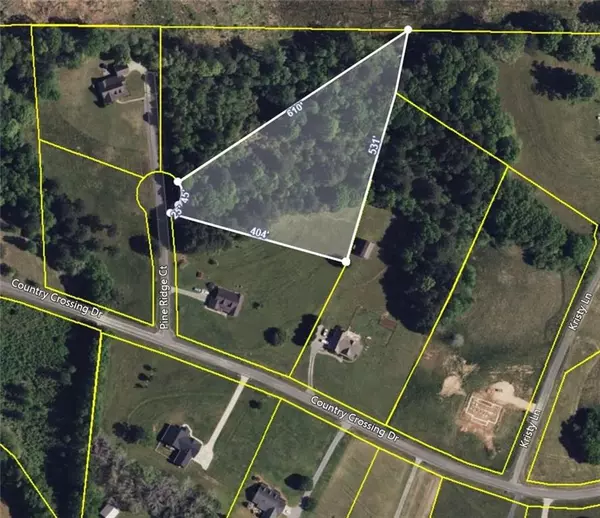 0 Pine Ridge Court, Summerville, GA 30747