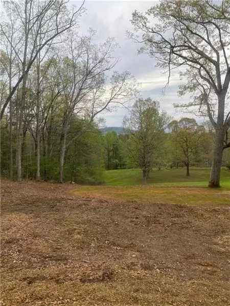 0 Hilltop LN, Clarkesville, GA 30523