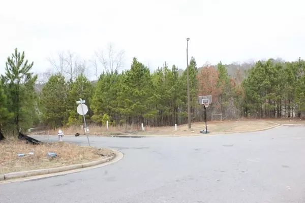 Woodstock, GA 30188,3 Lots Village Lane