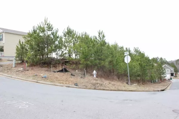 Woodstock, GA 30188,3 Lots Village Lane