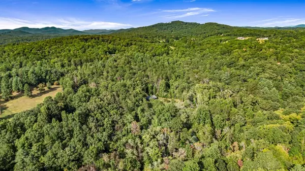 Mineral Bluff, GA 30559,0 Evergreen LN