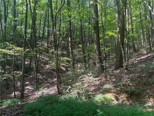 Jasper, GA 30143,101 Deer TRL