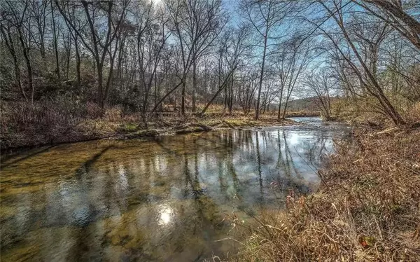 Mineral Bluff, GA 30559,141 Mountain Rivers Rd