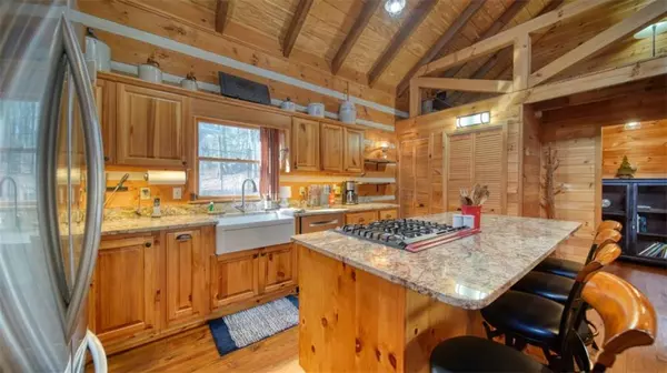 Blue Ridge, GA 30513,492 Chinkapin DR