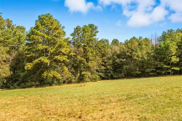 Buchanan, GA 30113,4267 Buchanan HWY