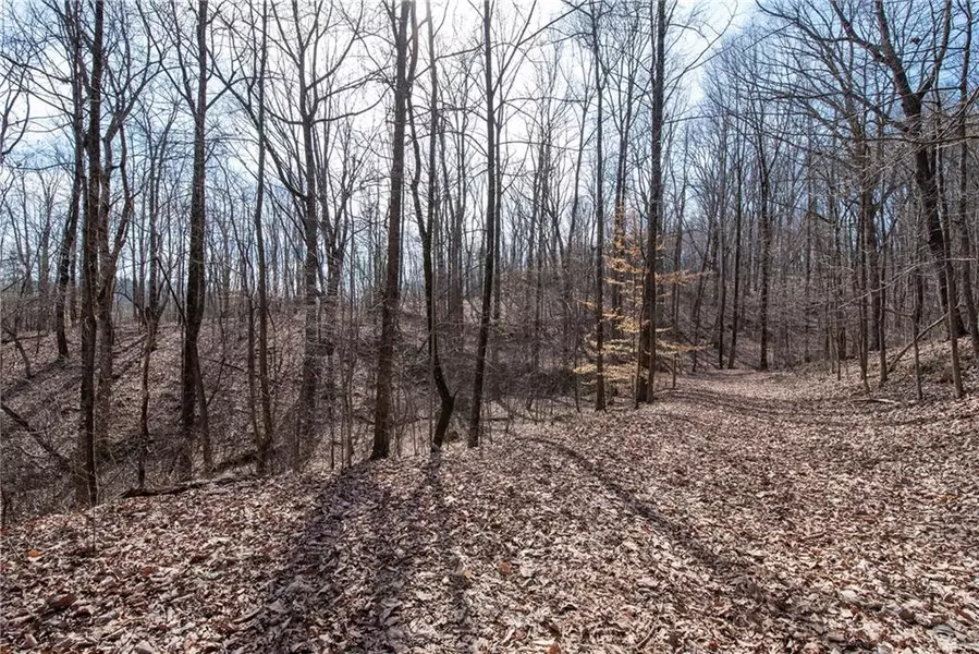 86.99 Acres Mincie Mountain, Murrayville, GA 30564