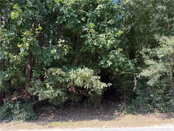 Conyers, GA 30012,2392 Lakeshore DR NE