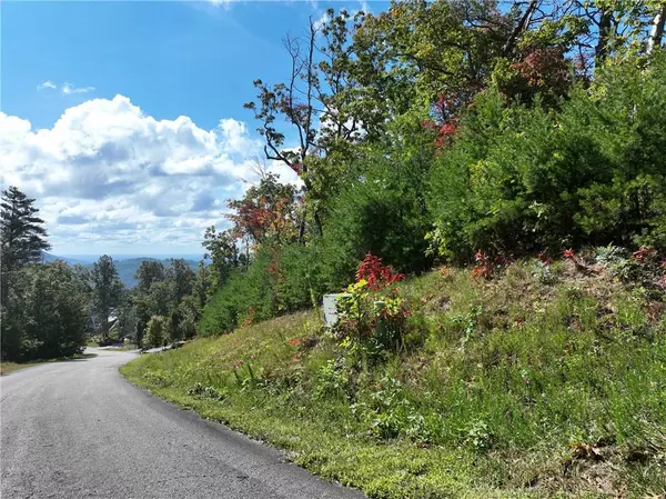 Ellijay, GA 30536,246 Andes RDG